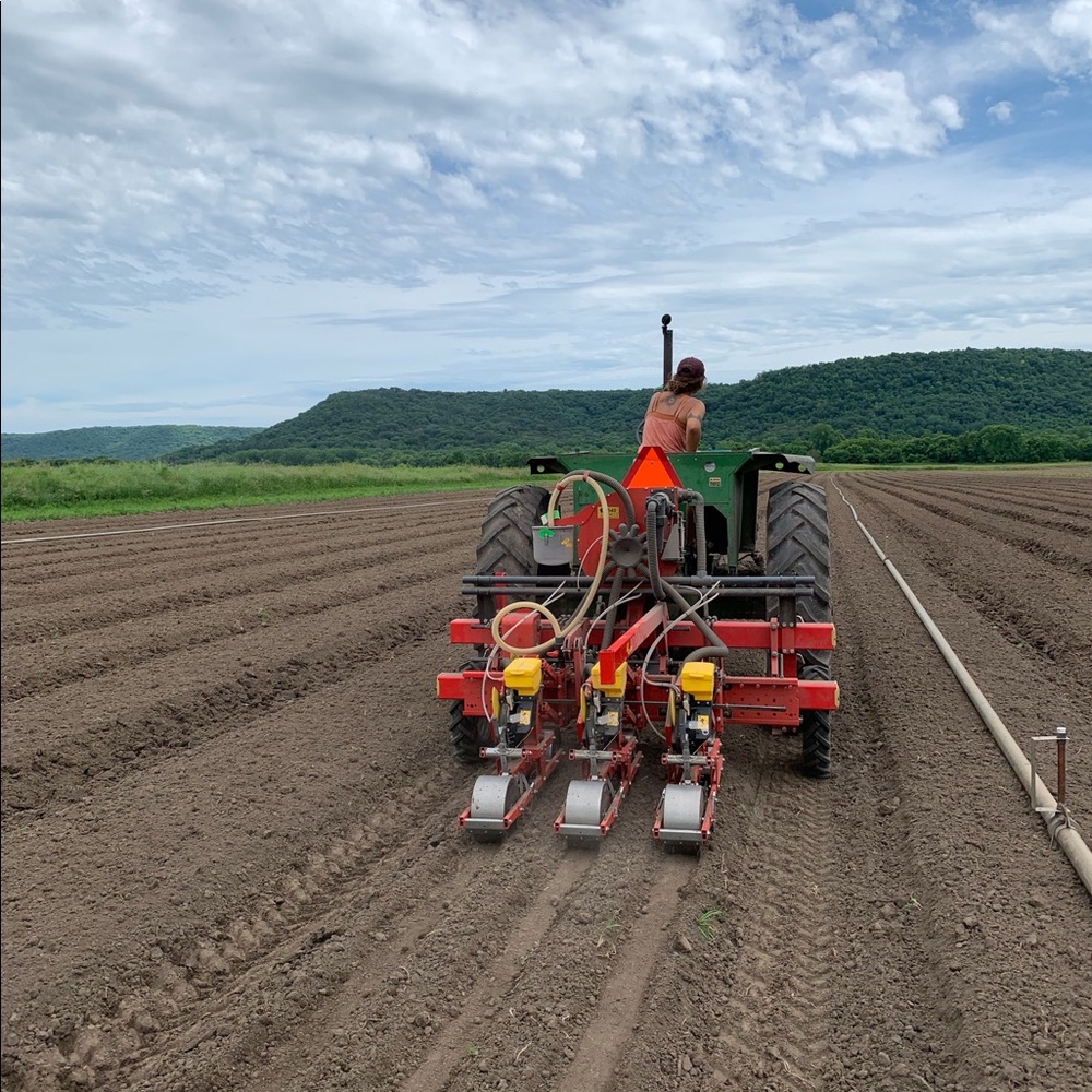 Meet your Posher, Ellen